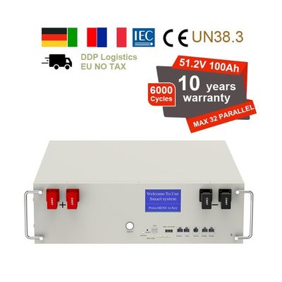 51.2V 100Ah 5kWh Lifepo4 Battery Pack con BMS Serve Rack per la conservazione dell'energia domestica